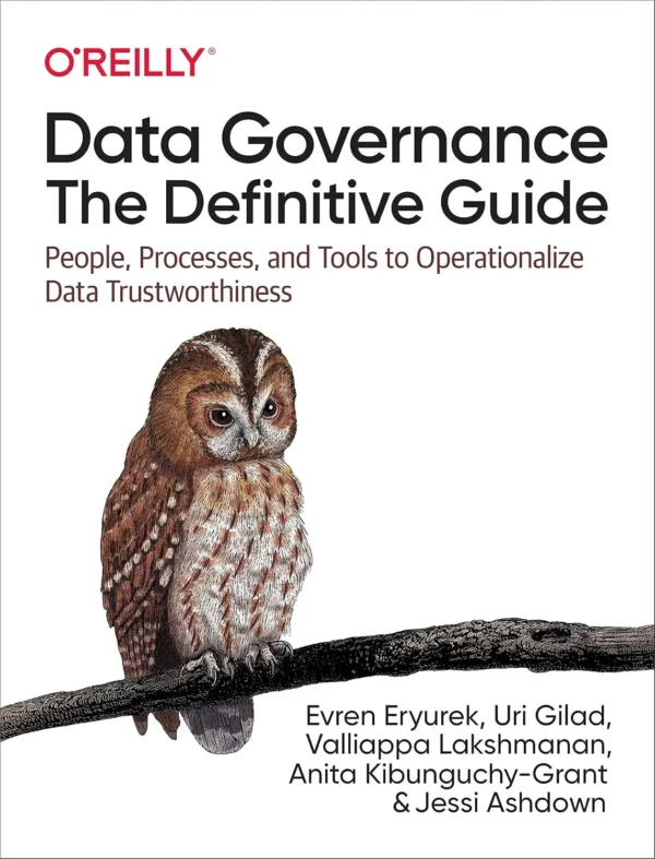 Data Governance The Definitive Guide (1 ed)