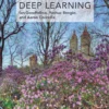 Deep Learning (Adaptive Computation and Machine Learning series)