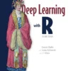 Deep Learning with R (2 ed)