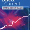 Direct Current Fundamentals (8 ed)