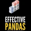 Effective Pandas, Patterns for Data Manipulation