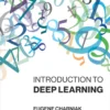Introduction to Deep Learning (1 ed)