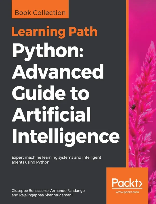 Python Advanced Guide to Artificial Intelligence (1 ed)