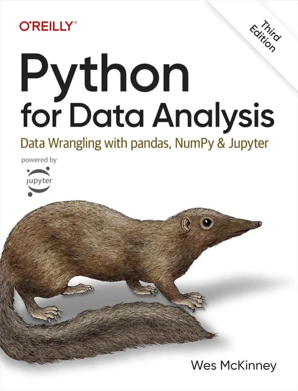 Python for Data Analysis Data Wrangling with pandas, NumPy, and Jupyter (3 ed)