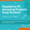 Raspberry Pi Amazing Projects from Scratch (1 ed)