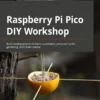 Raspberry Pi Pico DIY Workshop (1 ed)