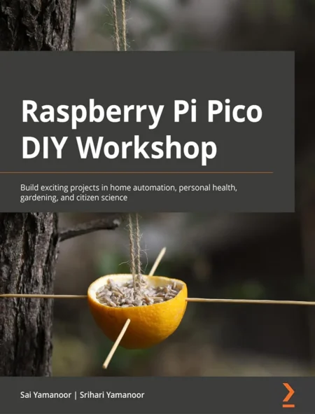 Raspberry Pi Pico DIY Workshop (1 ed)