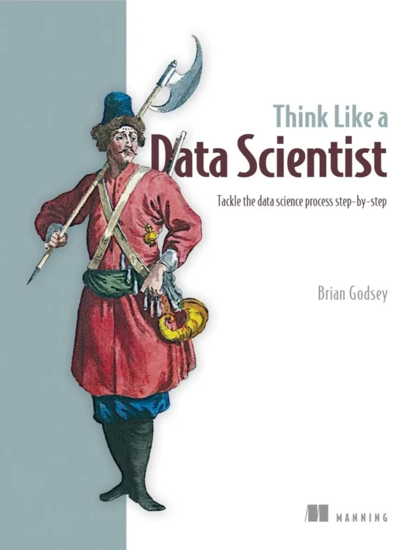 Think Like a Data Scientist (1 ed)