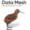 Data Mesh (1 ed)