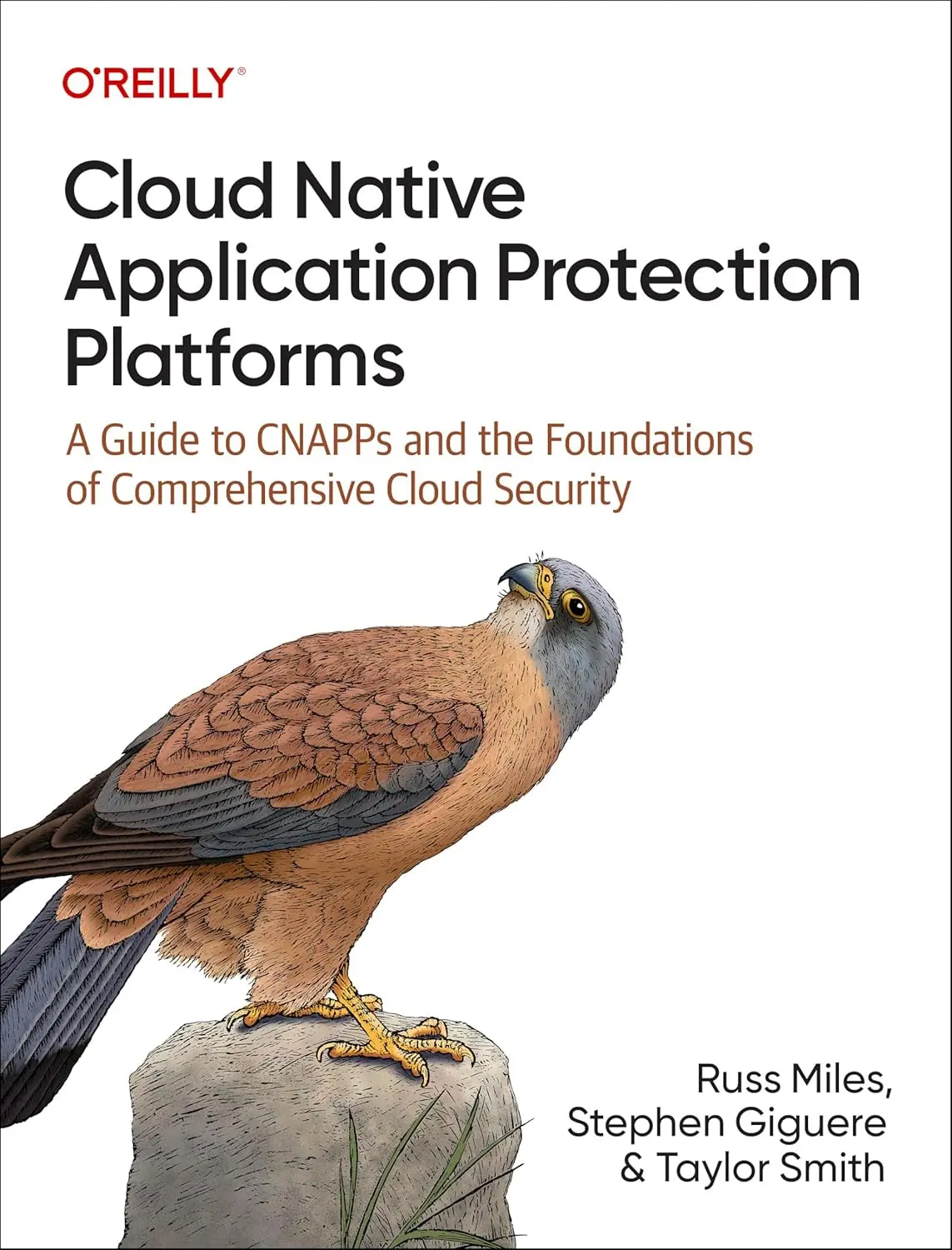 Cloud Native Application Protection Platforms (1 ed) 1 Cloud Native Application Protection Platforms (1 ed)