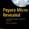 Payara Micro Revealed (1 ed)