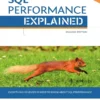 SQL Performance Explained