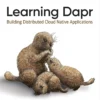 Learning Dapr (1 ed)