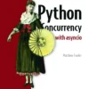 Python Concurrency with asyncio