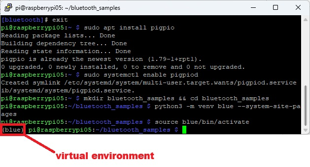 RPi virtual environment active