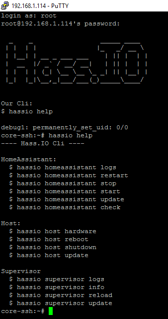 Getting Started with Home Assistant on Raspberry Pi 21 hassio terminal