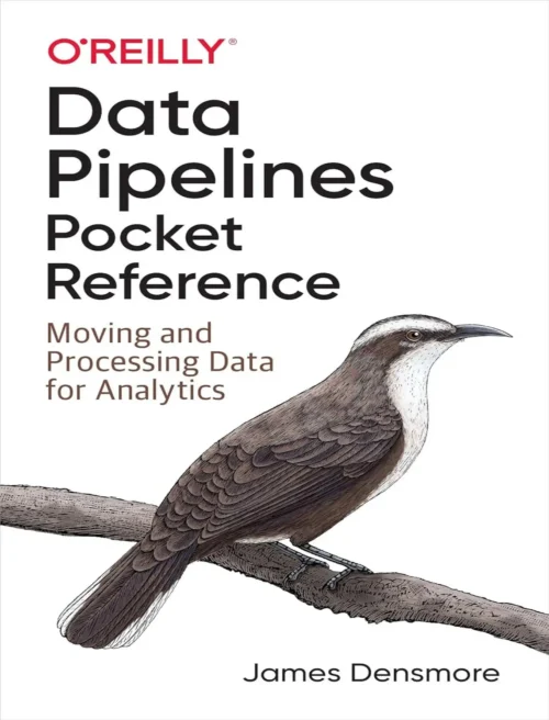 Data Pipelines Pocket Reference (1 ed)