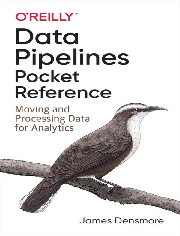 Data Pipelines Pocket Reference (1 ed)