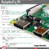Learning Python with Raspberry Pi (1 ed)